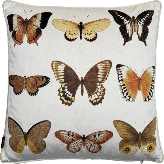 Vanilla Fly Cuscino Velluto Con Bordura - Butterflies