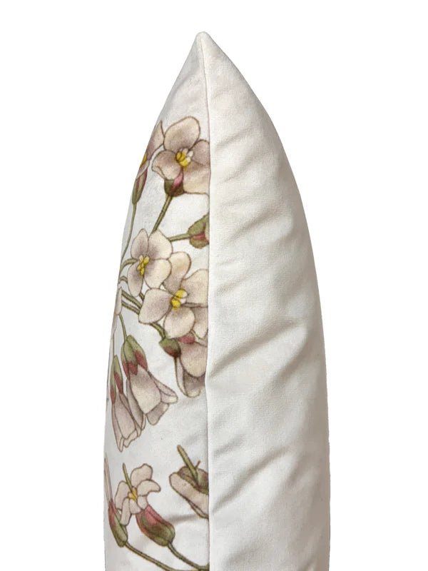 Vanilla Fly Cuscino Velluto Retro Velluto - Anise Flower