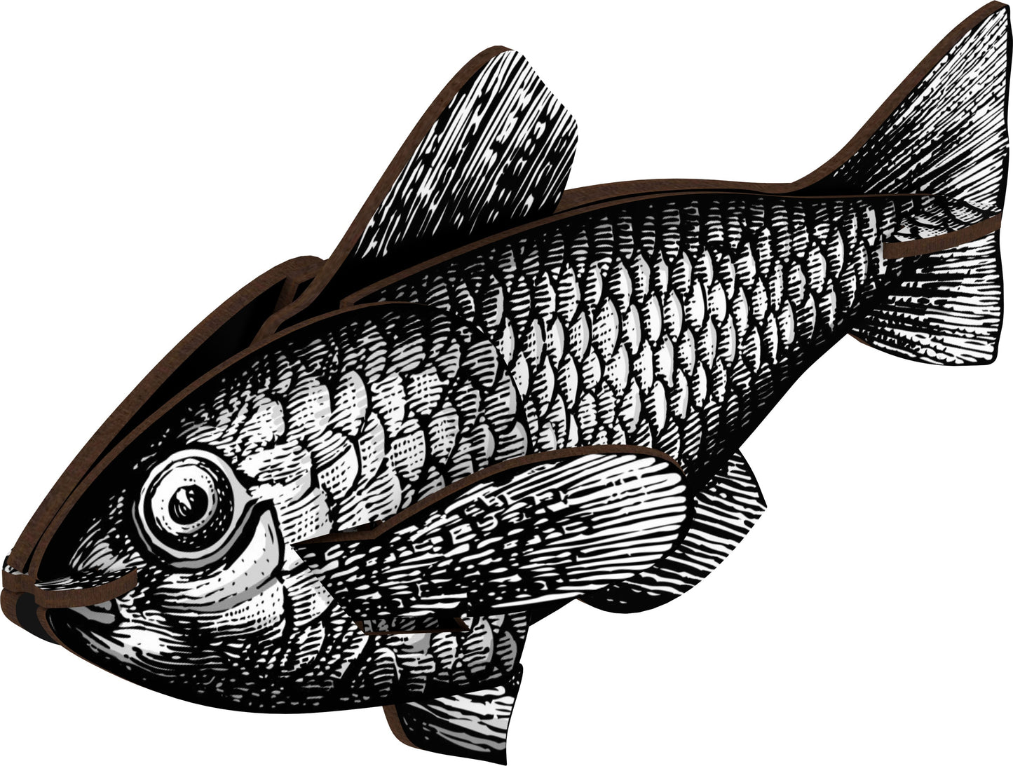 Miho Casablanca Pesce Piccolo