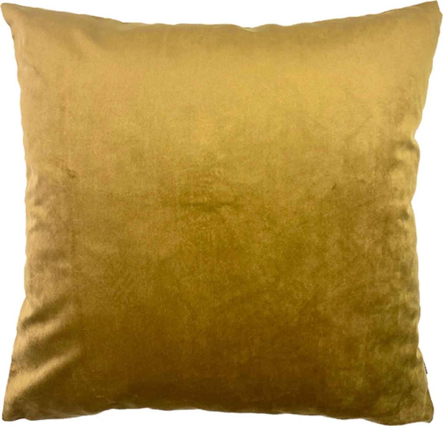 Vanilla Fly Velvet Cushions 50x50 Cuscino In Velluto Tinta unita