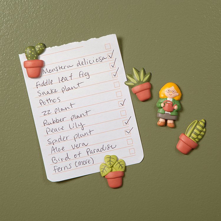 Kikkerland Plant Lady Magnets magneti a tema piante utilizzati per fissare un appunto