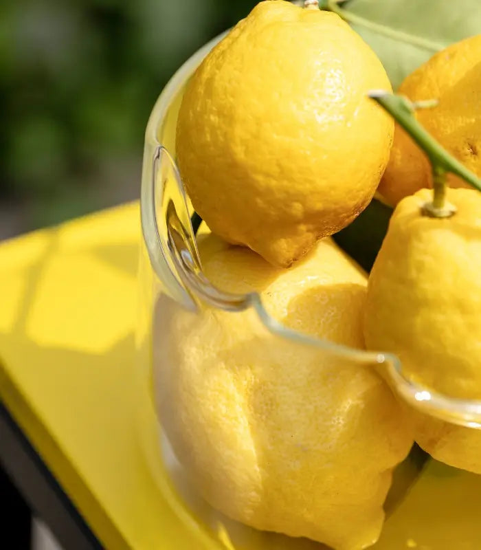 KnIndustrie Shapeless Cestino Portapane