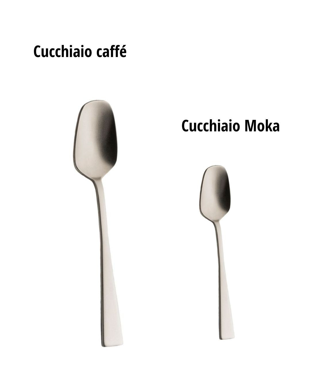 KnIndustrie Zest Finitura Champagne Cucchiaio Moka