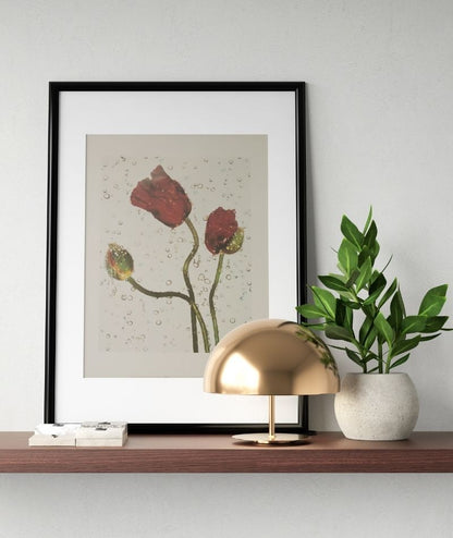 Nouvelles Images Stampa Offset - Papaveri