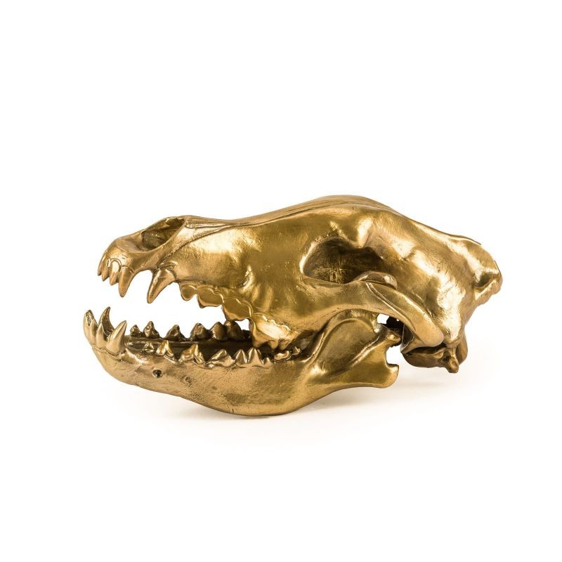 Seletti Diesel Living Wunderkammer Wolf Skull Teschio di Lupo Oro