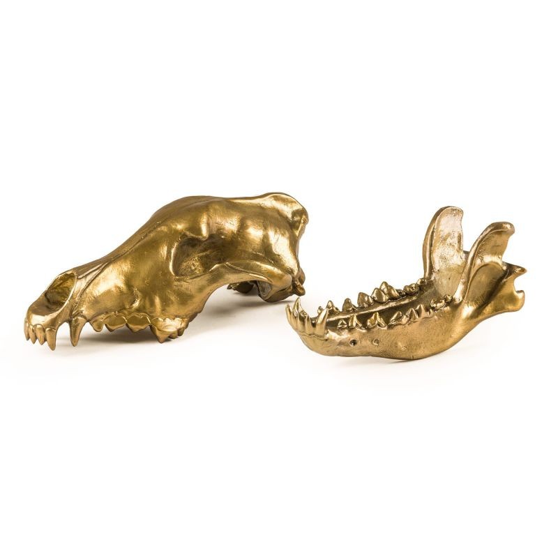 Seletti Diesel Living Wunderkammer Wolf Skull Teschio di Lupo Oro