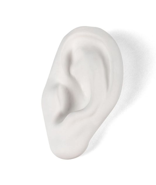 Seletti Memorabilia Mvsevm Orecchio