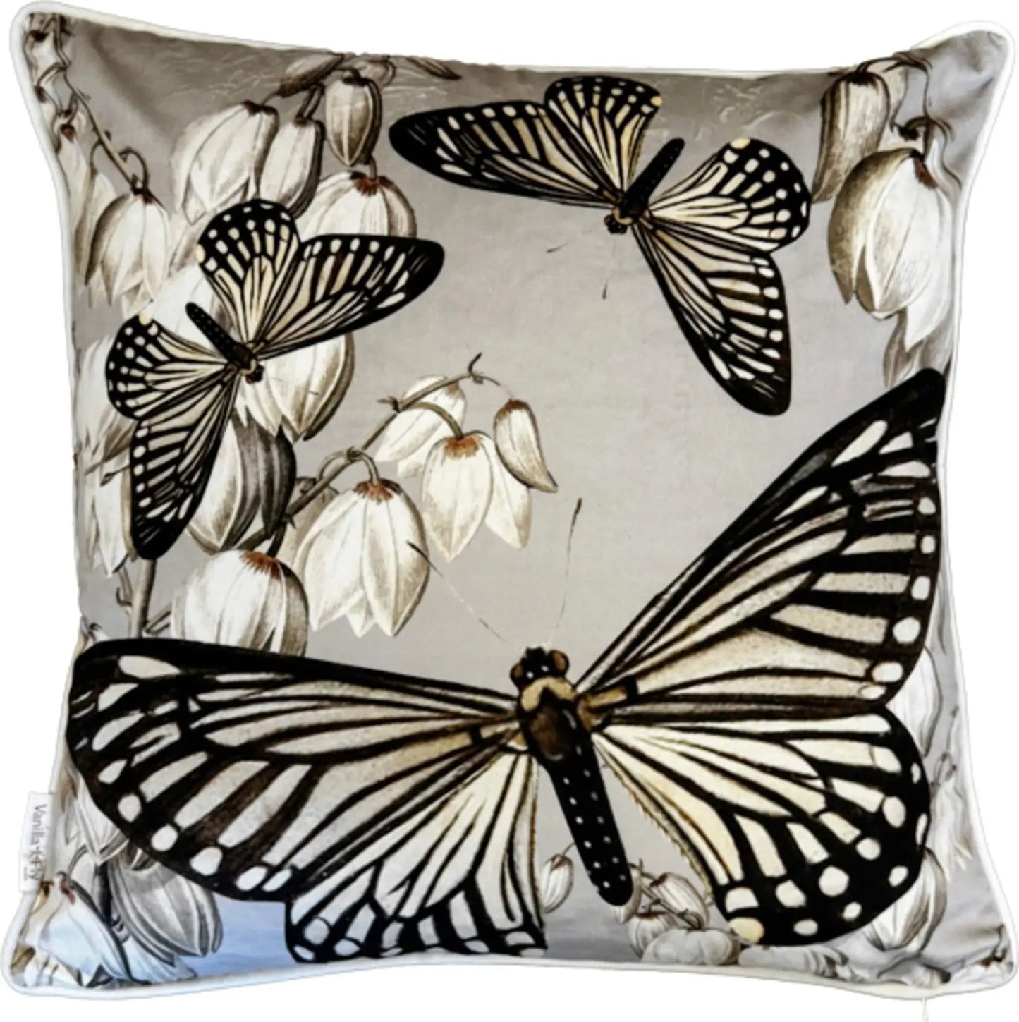 Vanilla Fly Cuscino Velluto  Con Bordura - Butterflies c/Bordura