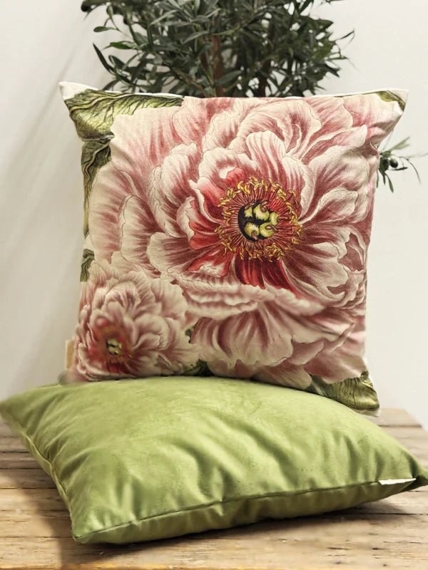 Vanilla Fly Velvet Cushions 50x50 Cuscino In Velluto Tinta unita