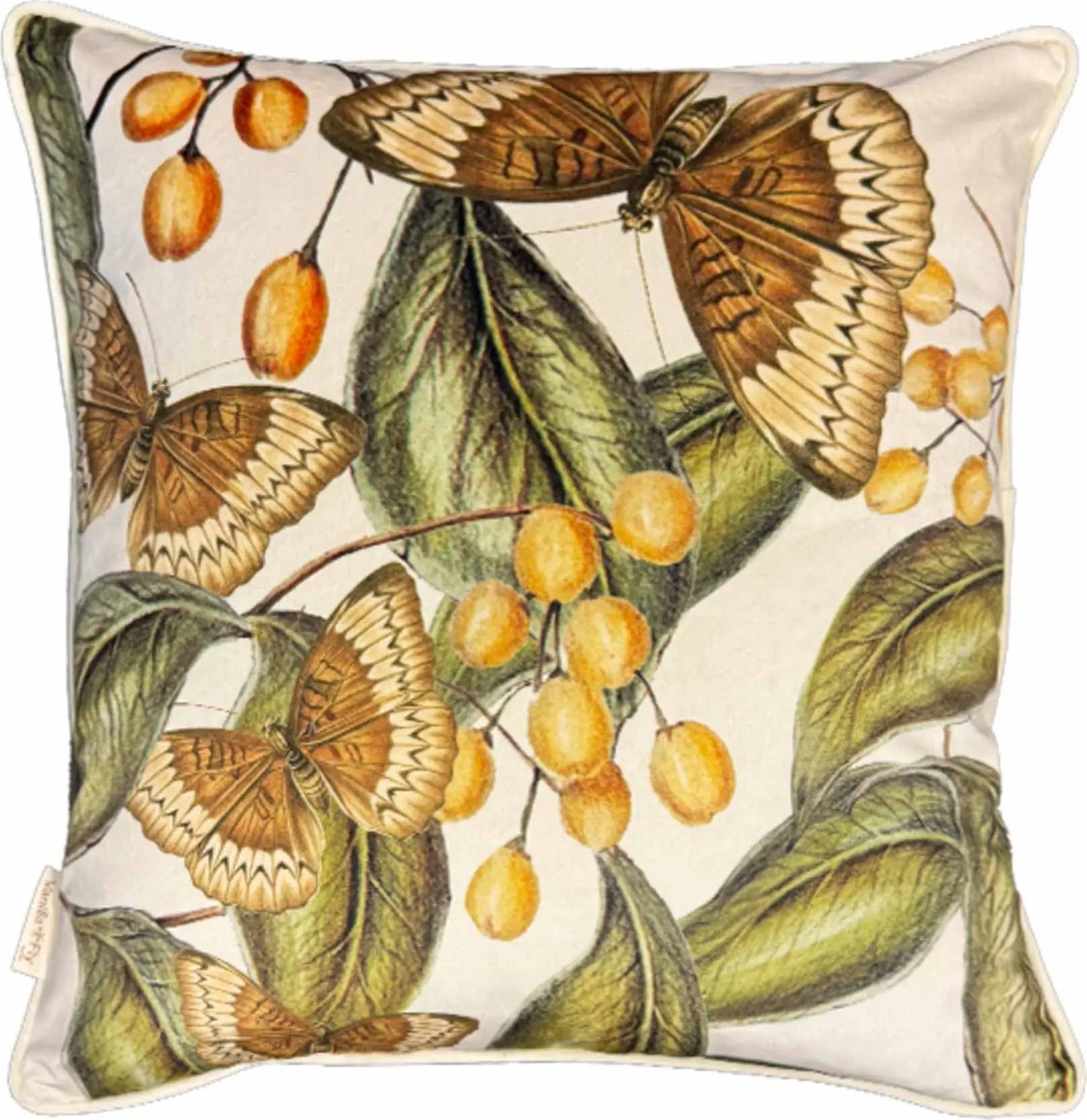 Vanilla Fly Cuscino Velluto Retro Velluto - Bone Brown c/Bordura