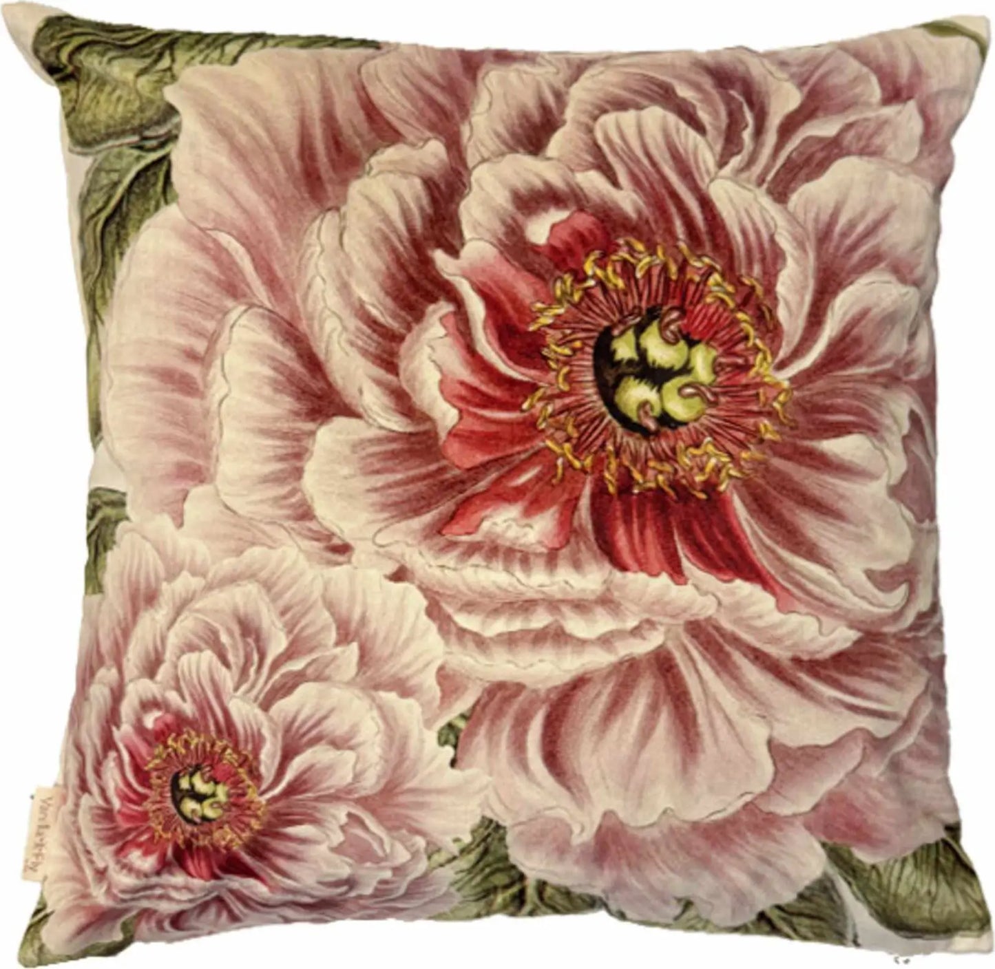 Vanilla Fly Cuscino Velluto Retro Velluto - Peony