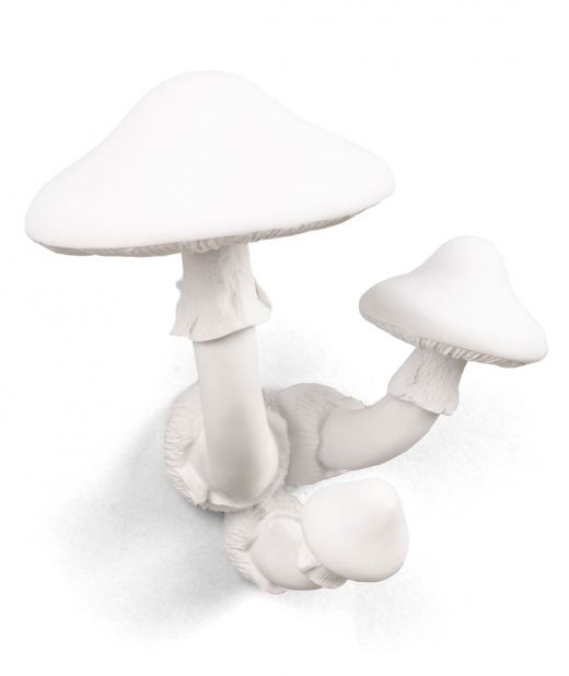 Seletti Hangers Appendiabiti Da Parete Mushrooms Funghi Bianco