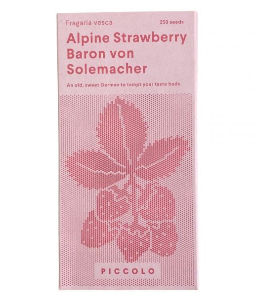Piccolo Seed Baron von Solemacher La fragola alpina